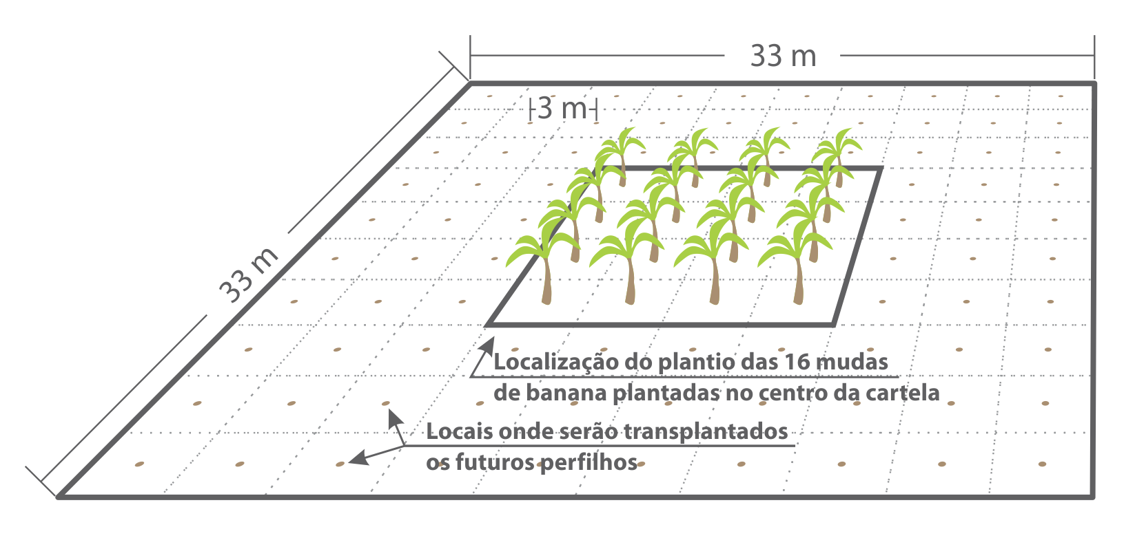 Fig.2_Croqui_Cartela_bingo_banana_perspectiva.png